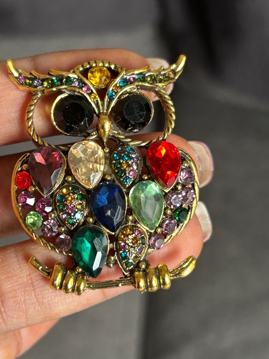 Jewelry - Multicolor Crystal Owl Brooch - Gold Tone